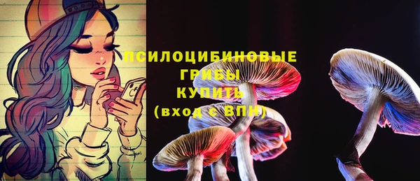 прущая мука Абинск